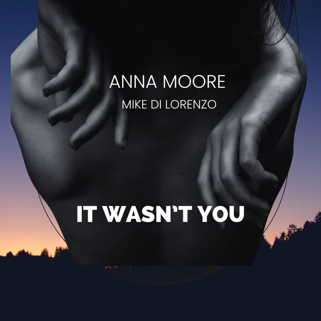 MIKE DI LORENZO - It Wasn't You featuring Anna Moore - Cover Artwork