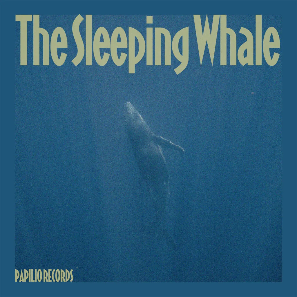 Gianfranco Malorgio - The Sleeping Whale - Cover Artwork