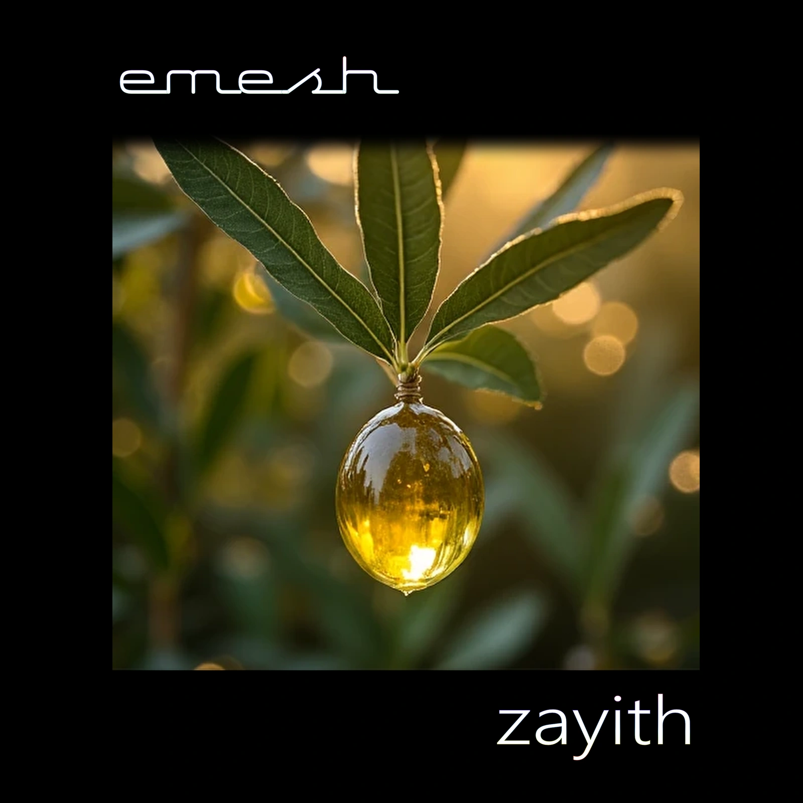 Zayith by Emesh: A Ritual Electronic Album Where Sacred Ambient Meets Deep Techno