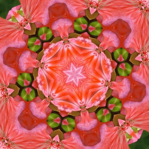 Nurture Your Soul Shows How Tera Mangala Meditation Music Builds Drone for Deep Focus
