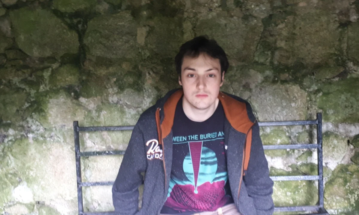 d'ARC Assembles the Homesteads Single From Violin, Whistle and a Clicking Groove